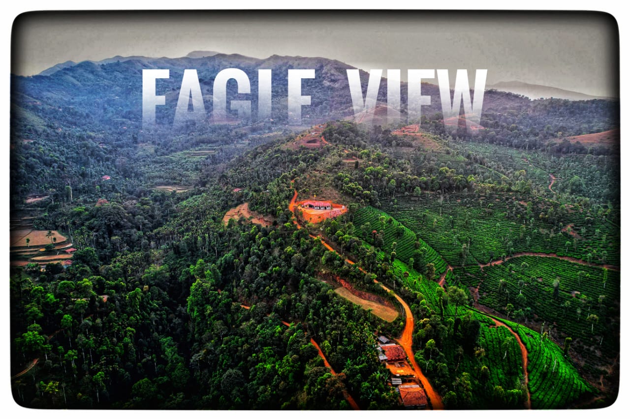 675282130e13c_WhatsApp Image 2024-12-06 at 10.09.27_5dfcb851.jpg